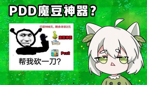 魔豆神器爆料视频,视频爆料带你领略神奇魔力  第1张